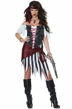 Pirate Beauty Womens Costume