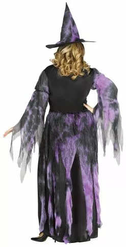Starlight Witch Adult Womens Plus Size Costume
