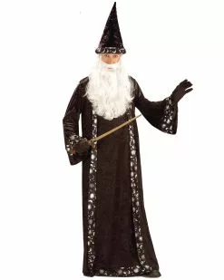 Oh Mr Wizard Mens Costume