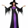 Purple Classic Witch Womens Costume -Men's Costumes Sales 62753