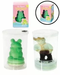 Magical Transforming Frog Prince