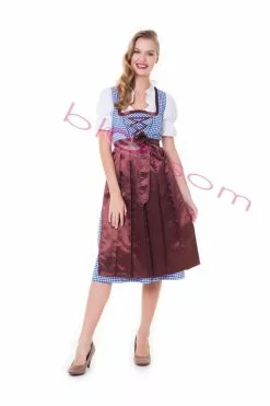 Brown Blue Midi Beer Oktoberfest Womens Costume