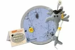 Graduation Brain Cell Plush Toy Giant Microbe -Men's Costumes Sales download