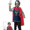 Gallant Knight Medieval Boys Toddler Costume -Men's Costumes Sales gallant knight costume 1