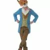 Mr Fox Boys Party Costume -Men's Costumes Sales mr fox costume