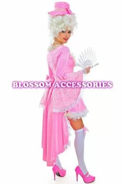 Deluxe Pink Marie Antoinette Womens Costume 10 Deluxe Pink Marie Antoinette Womens Costume -Men's Costumes Sales pink marie antoniette deluxe costume back lc3q h8