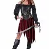 Queen Of The High Seas Pirate Womens Costume