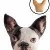 French Bulldog Plush Cushion 2 French Bulldog Plush Cushion -Men's Costumes Sales ss pc fb