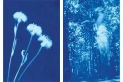 Sunprint Science & Craft Kit -Men's Costumes Sales sunprint