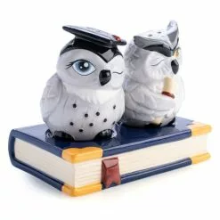 Flavour Mates Graduation Owls Salt & Pepper Set -Men's Costumes Sales tj sp o 800x800 1