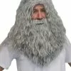 Deluxe Wizard Wig And Beard Set